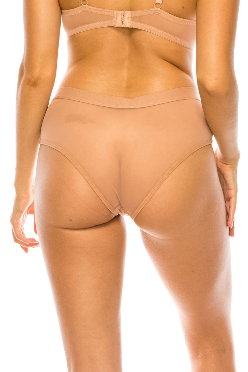 Sarah's Sheer Bikini Panties